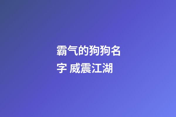 霸气的狗狗名字 威震江湖